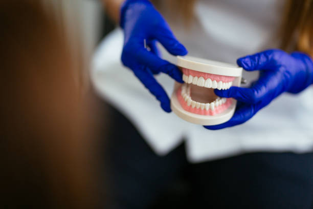 Trusted Twisp, WA Holistic Dental Care Services Experts